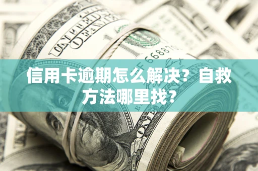 济南信用卡逾期怎么解决？自救方法哪里找？