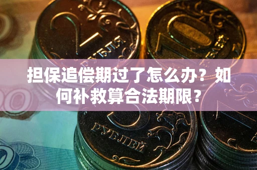 济南担保追偿期过了怎么办？如何补救算合法期限？
