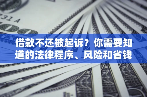 济南借款不还被起诉？你需要知道的法律程序、风险和省钱技巧